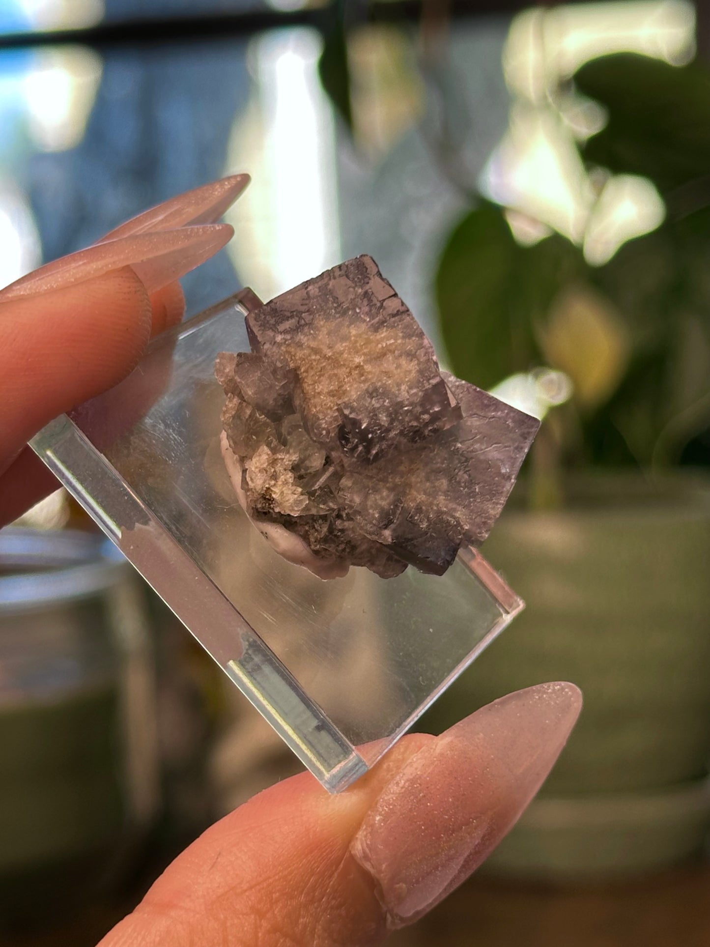 Lady Annabella Mine Fluorite 24