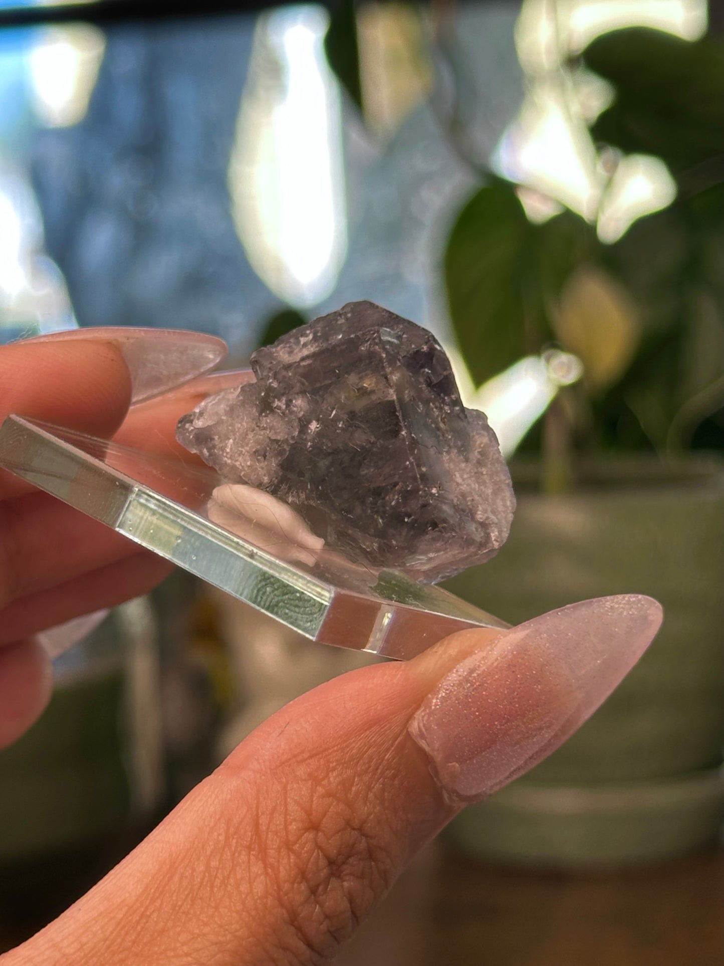 Lady Annabella Mine Fluorite 30