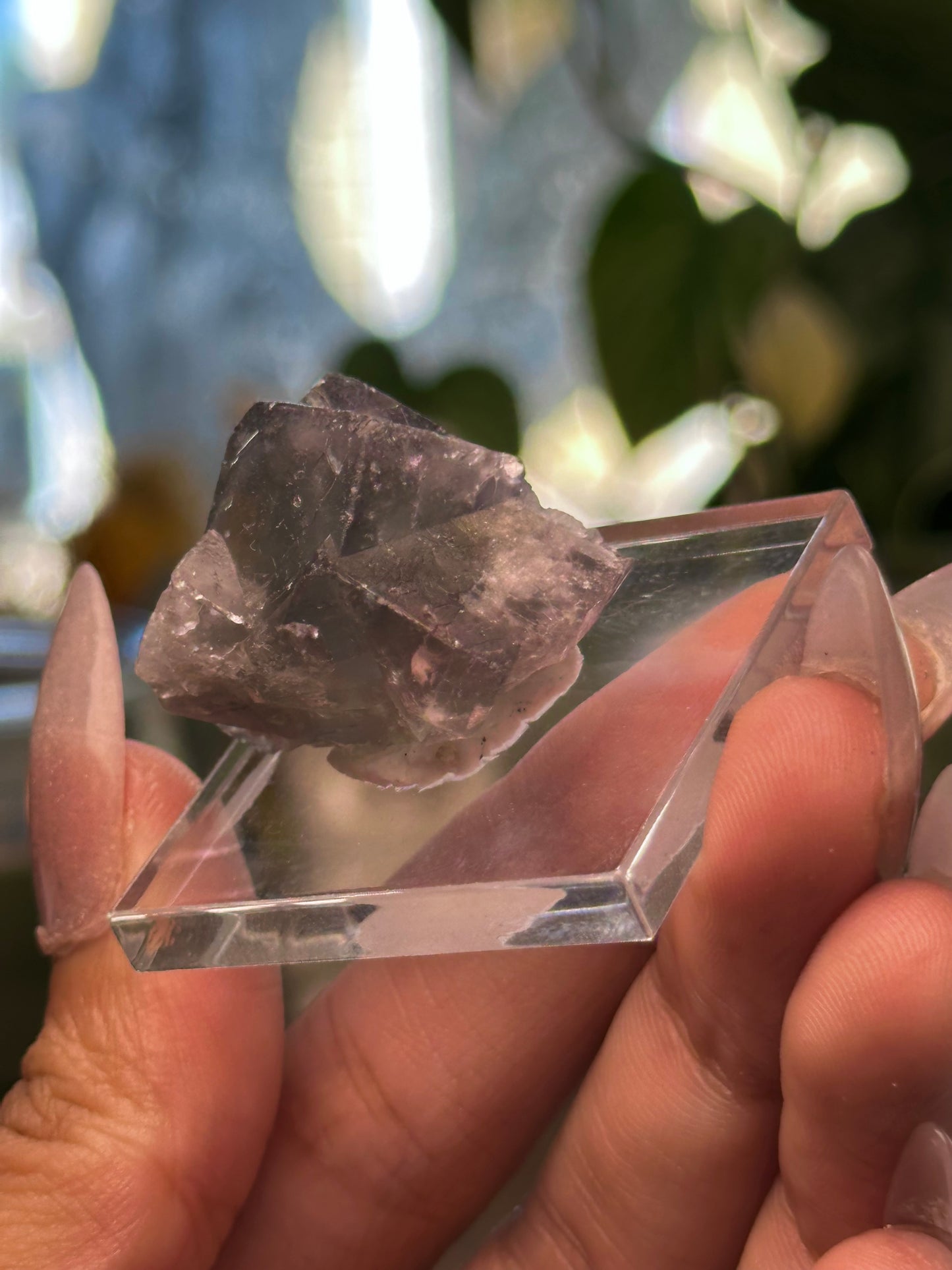 Lady Annabella Mine Fluorite 30