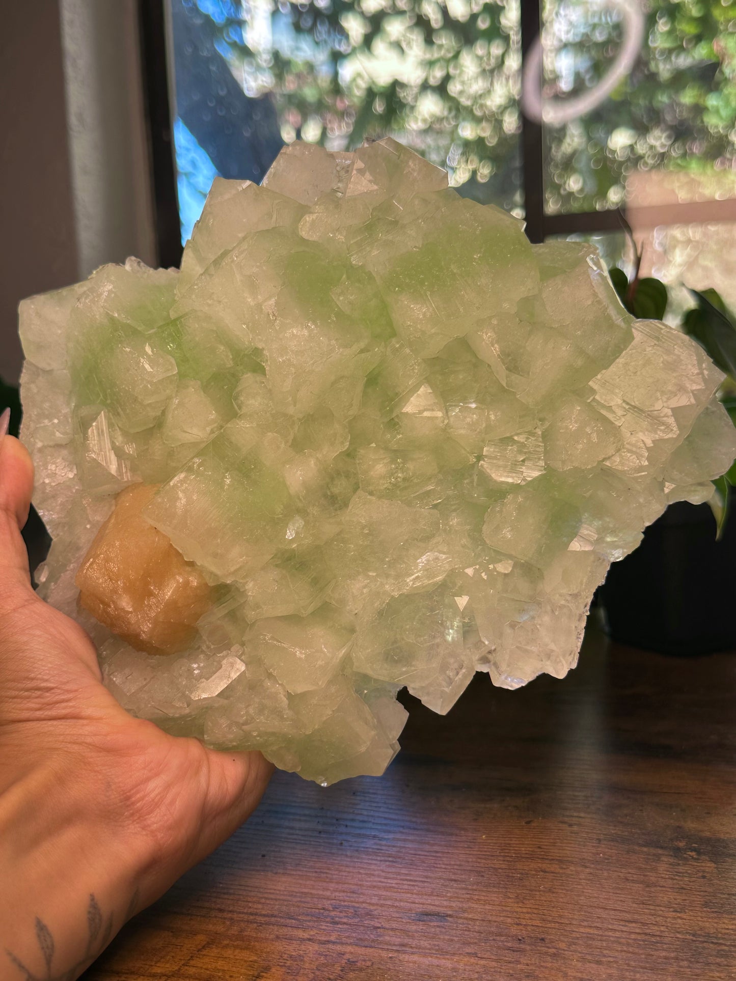 High Quality Green Apophyllite Specimen 444