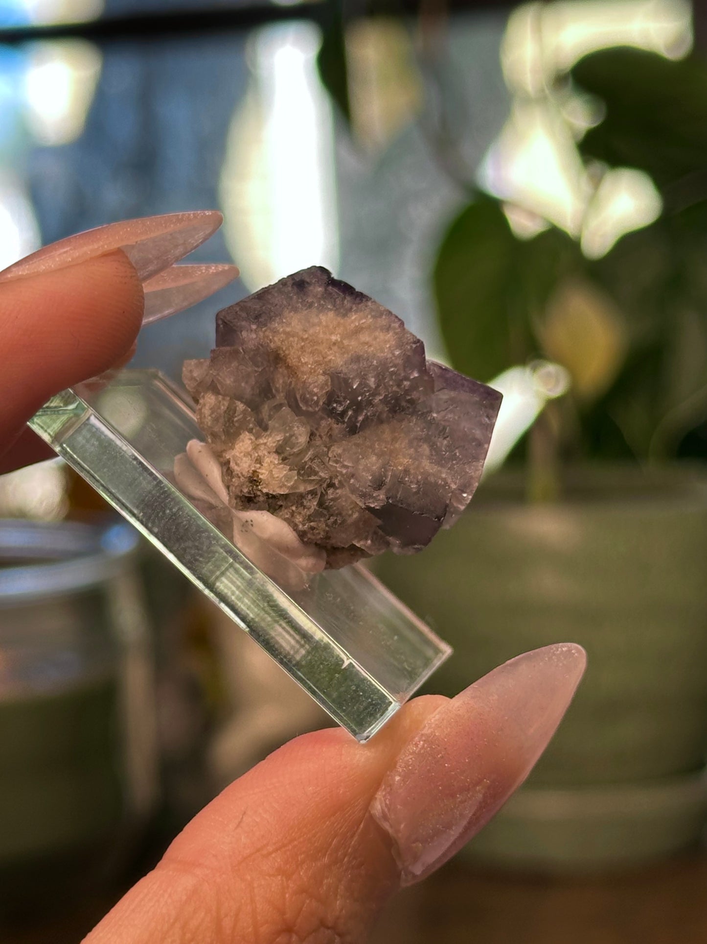 Lady Annabella Mine Fluorite 24