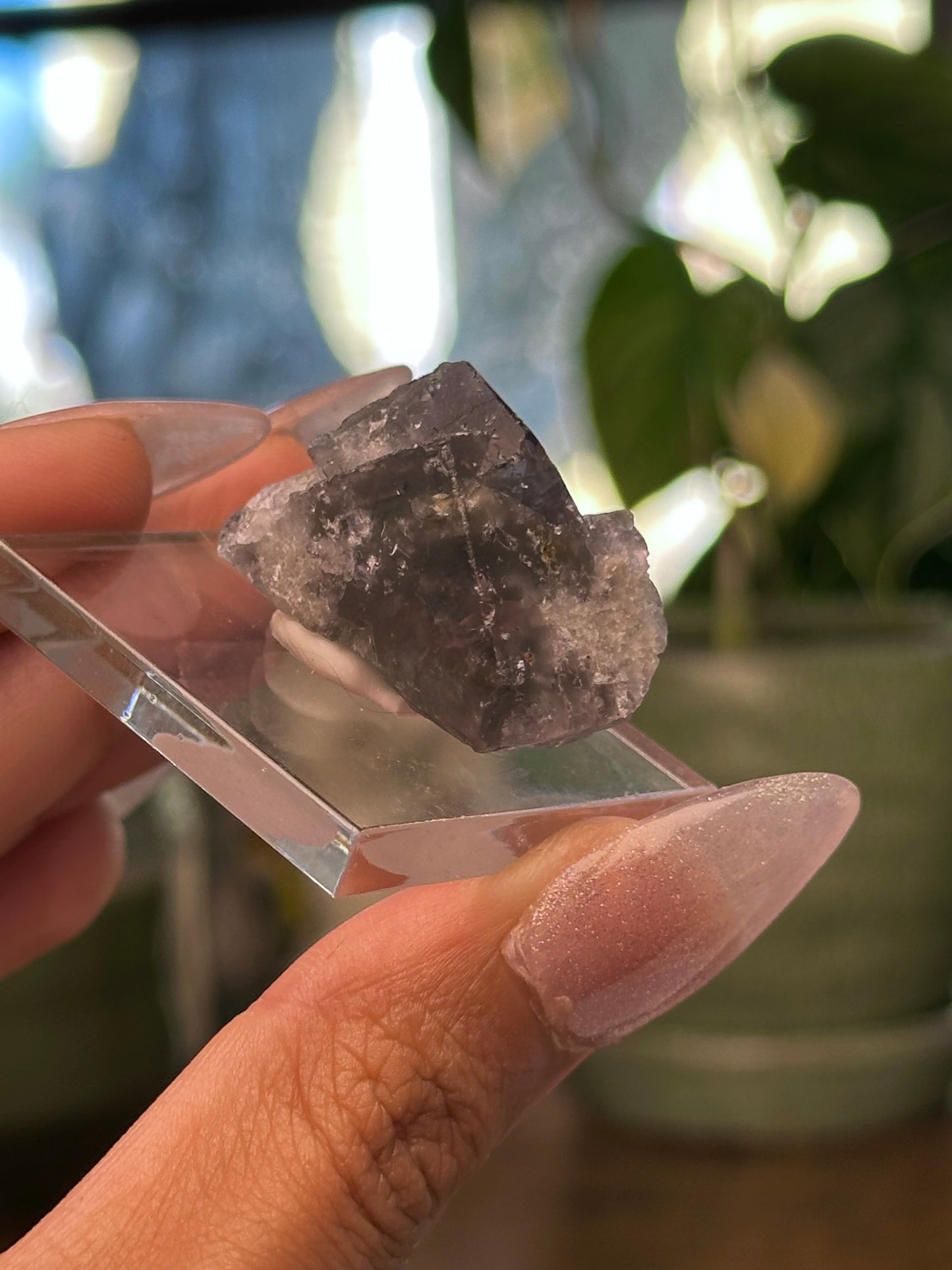 Lady Annabella Mine Fluorite 30