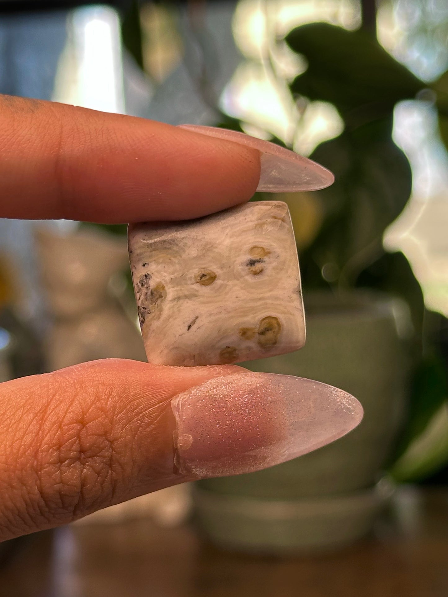 Ocean Jasper Cabochon 11