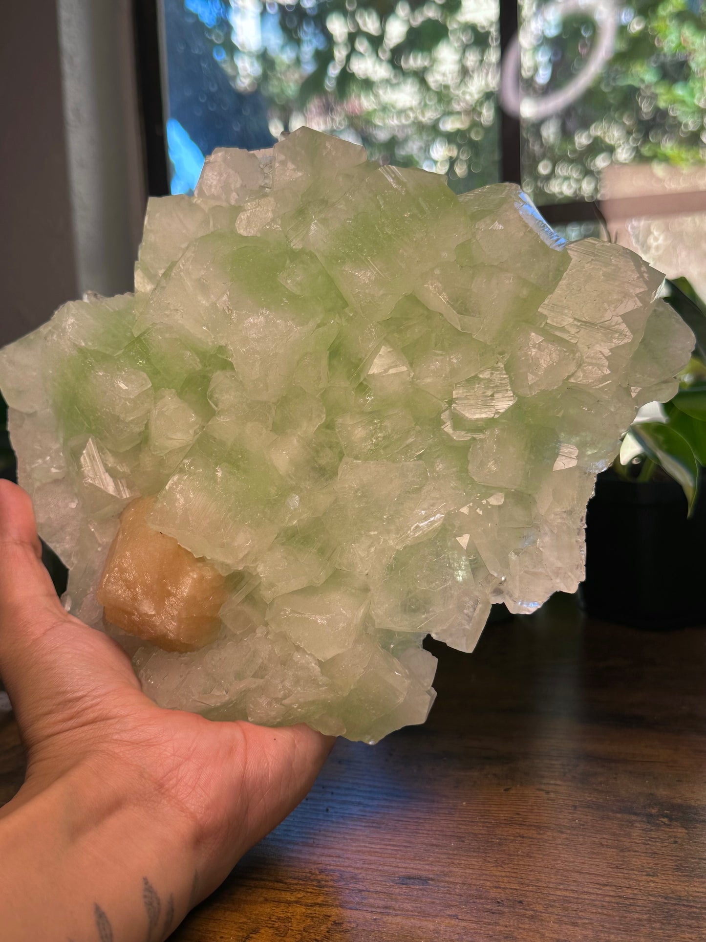 High Quality Green Apophyllite Specimen 444