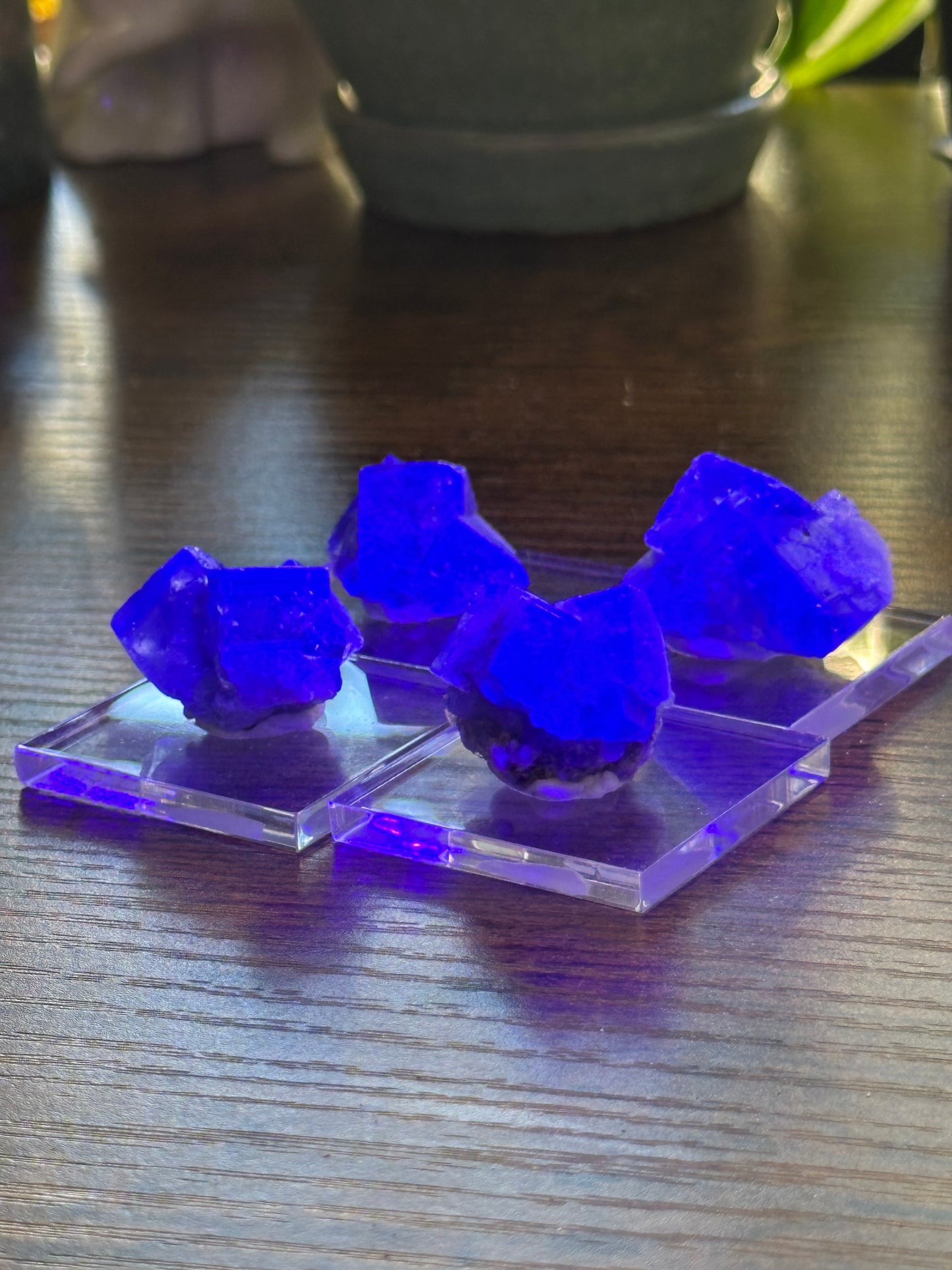 Lady Annabella Mine Fluorite 20