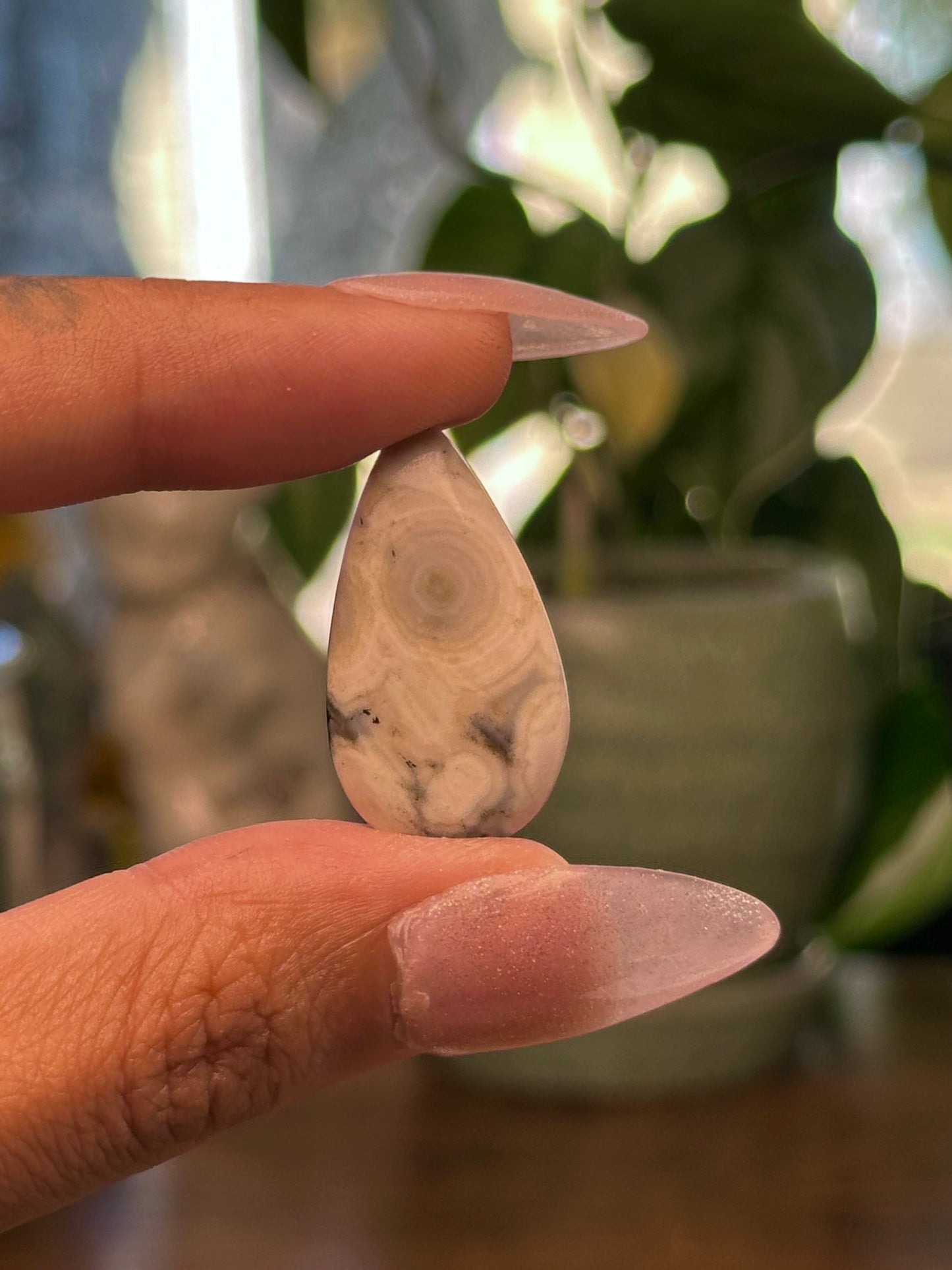 Ocean Jasper Cabochon 10