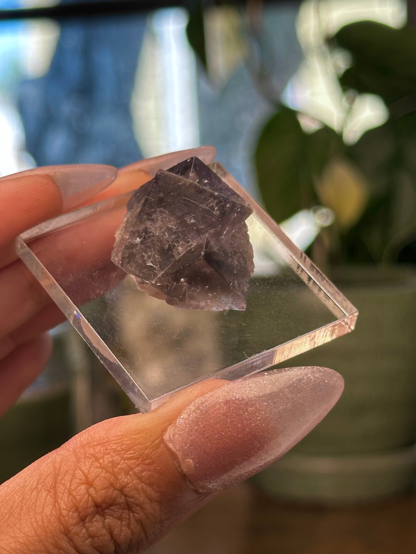 Lady Annabella Mine Fluorite 20
