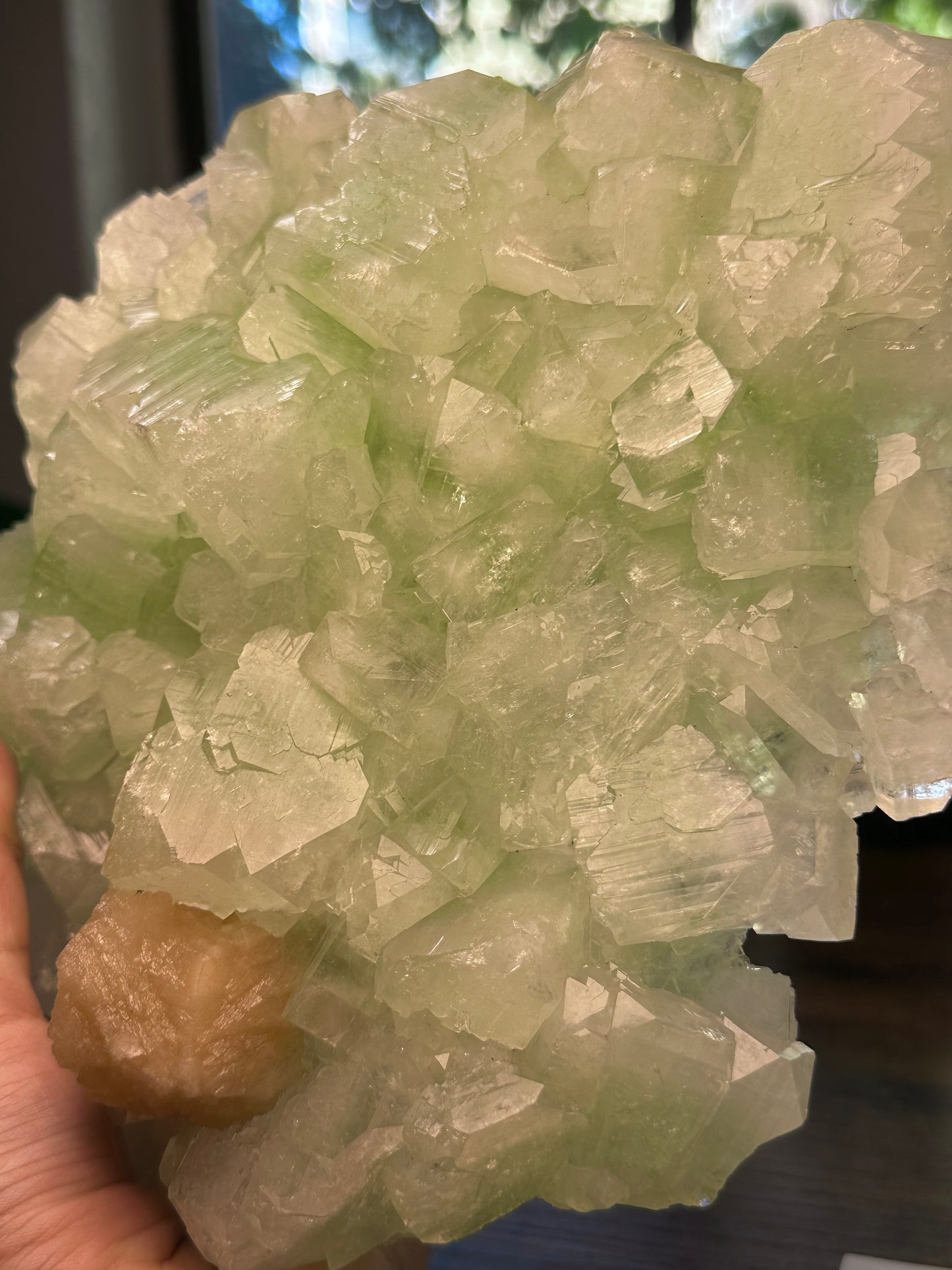 High Quality Green Apophyllite Specimen 444