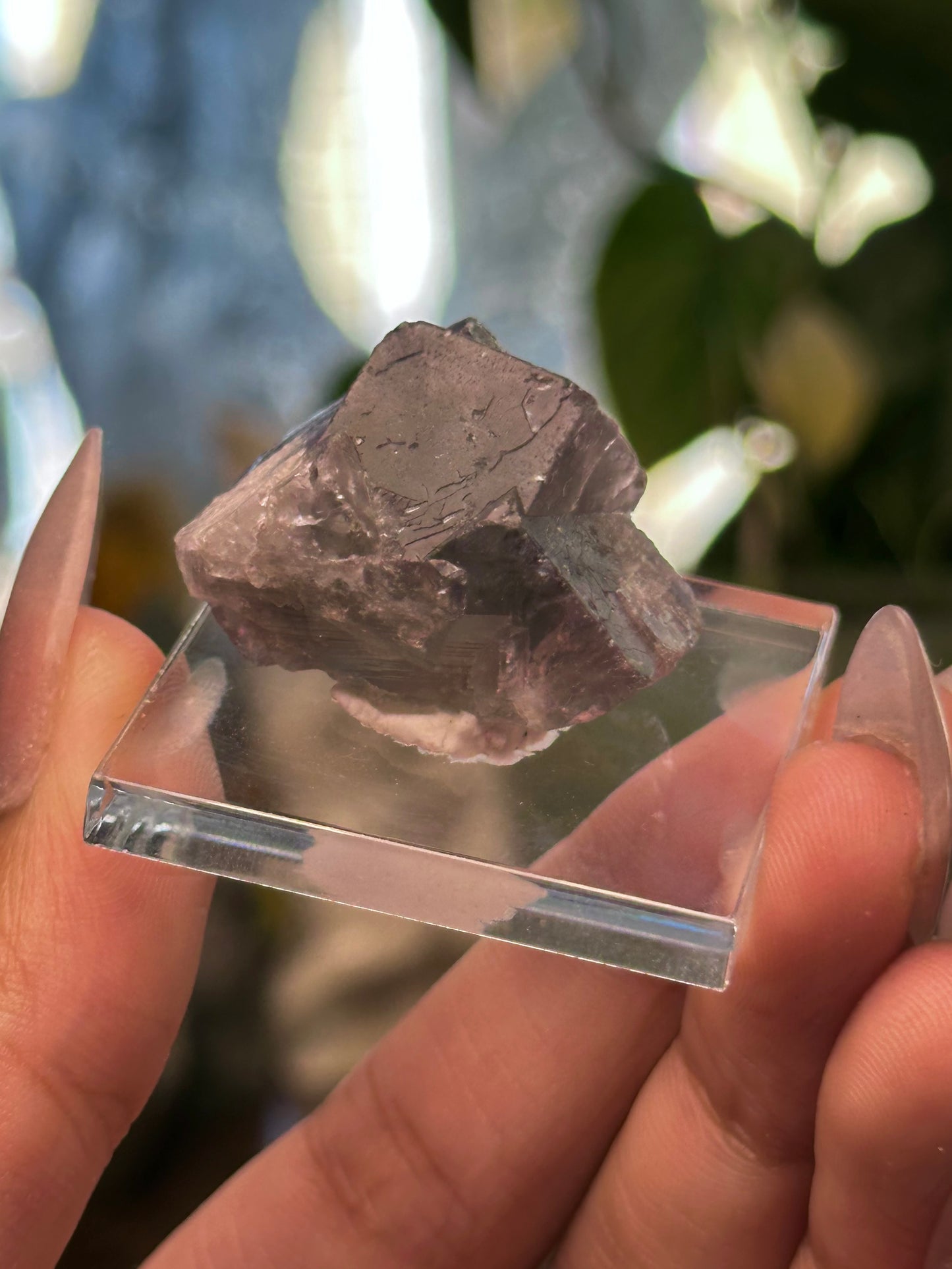 Lady Annabella Mine Fluorite 30