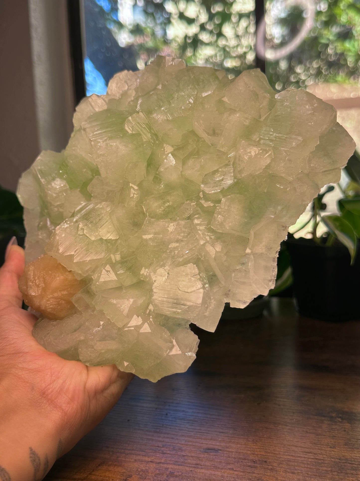 High Quality Green Apophyllite Specimen 444