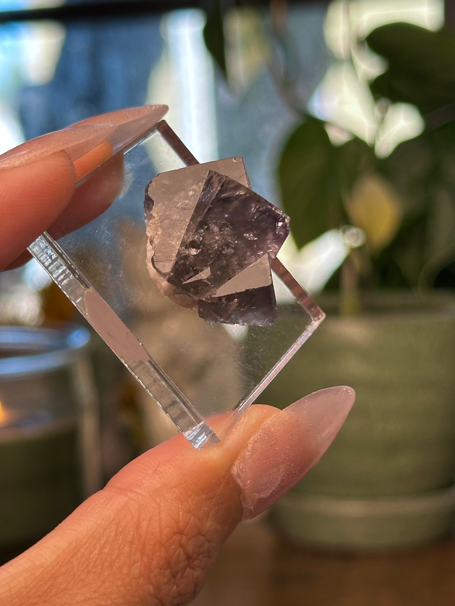 Lady Annabella Mine Fluorite 20