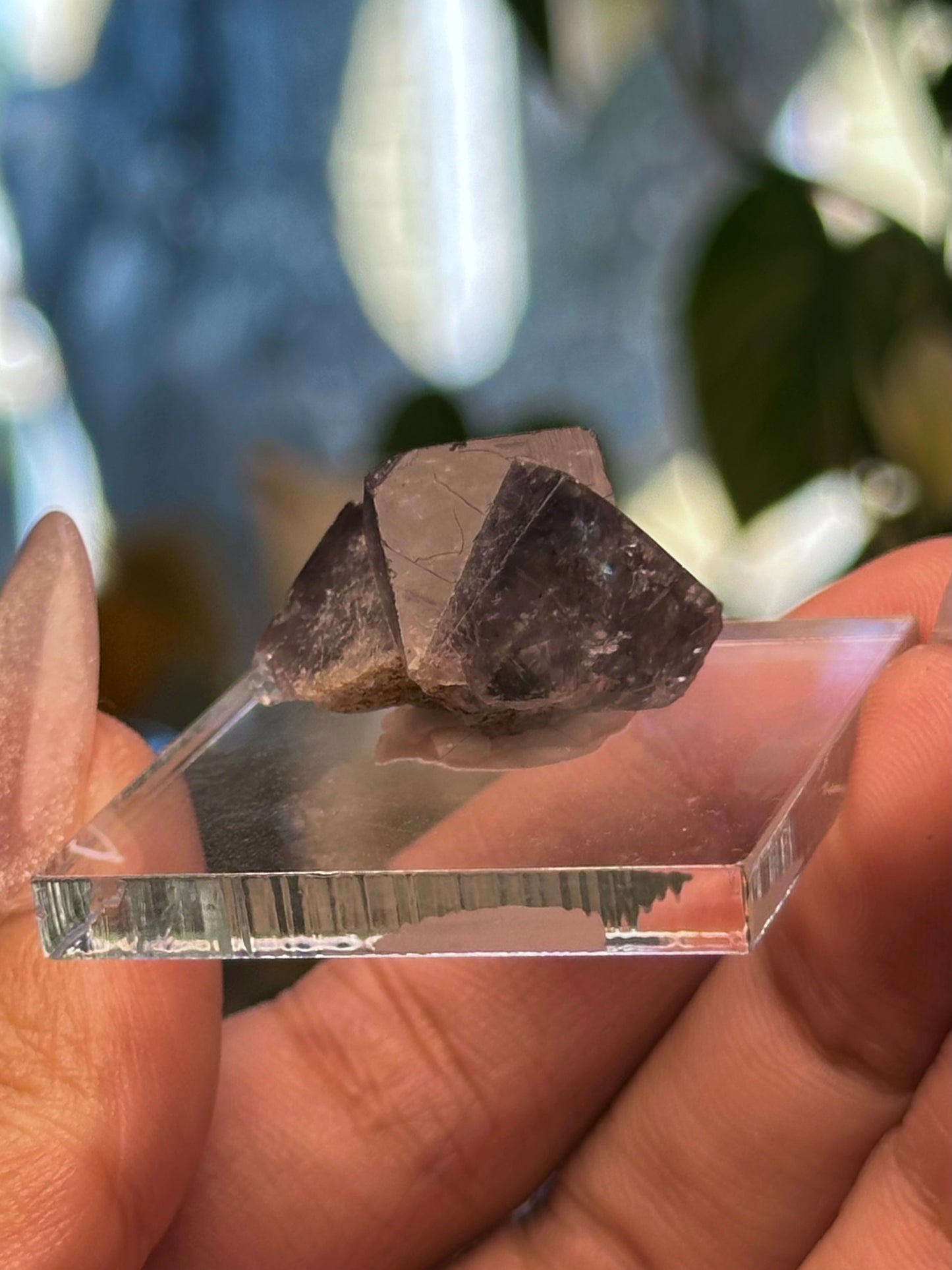 Lady Annabella Mine Fluorite 20
