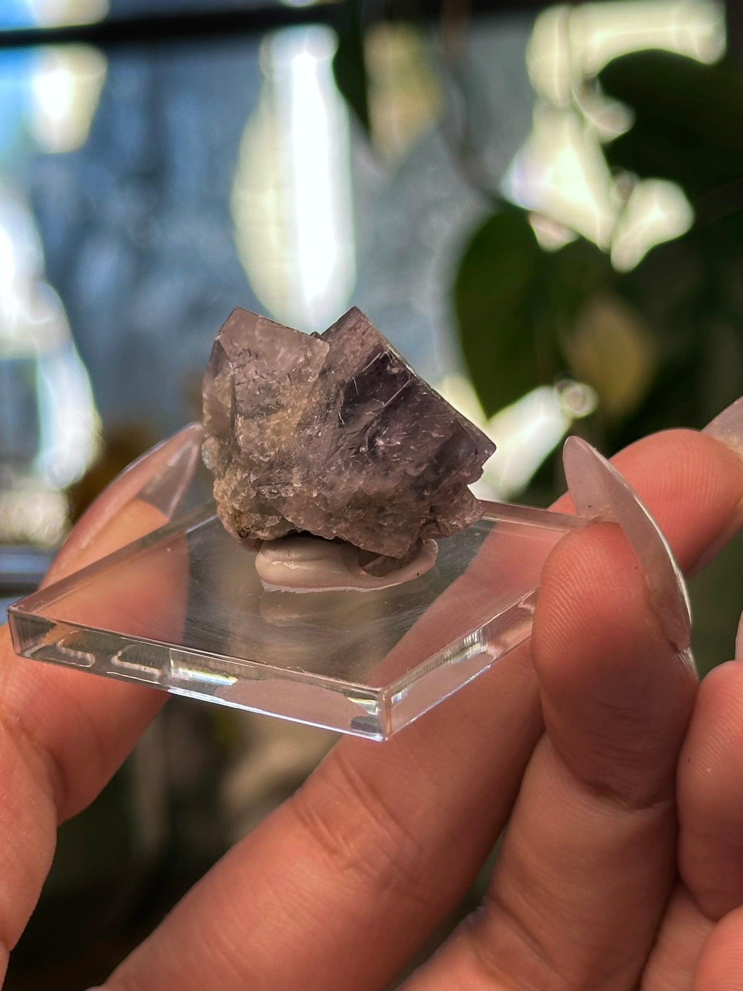 Lady Annabella Mine Fluorite 24