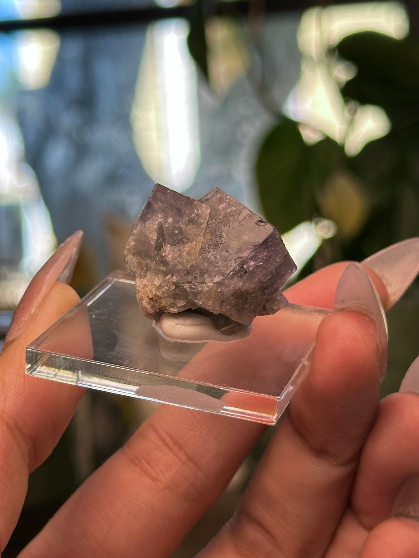 Lady Annabella Mine Fluorite 24