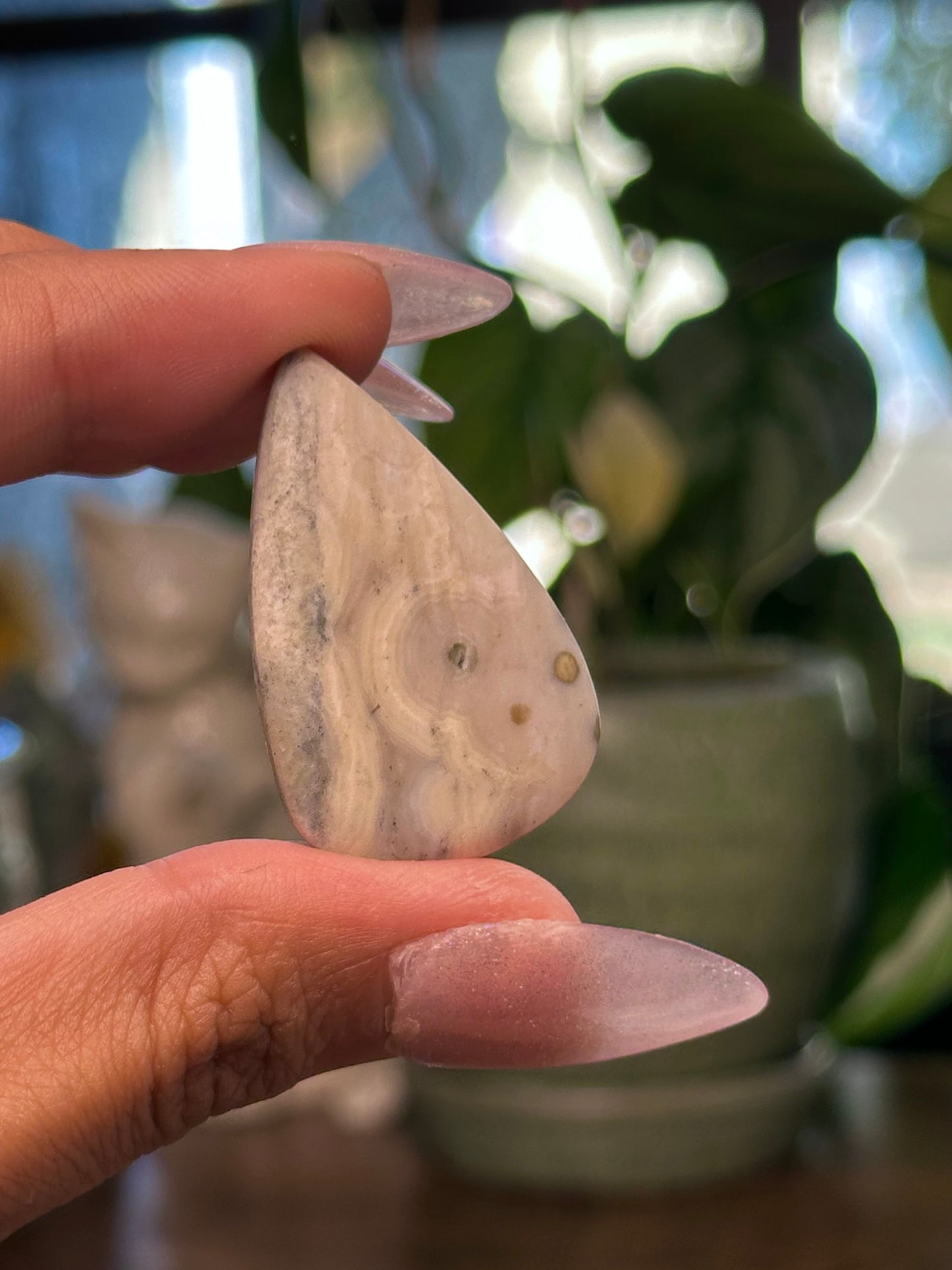 Ocean Jasper Cabochon 12