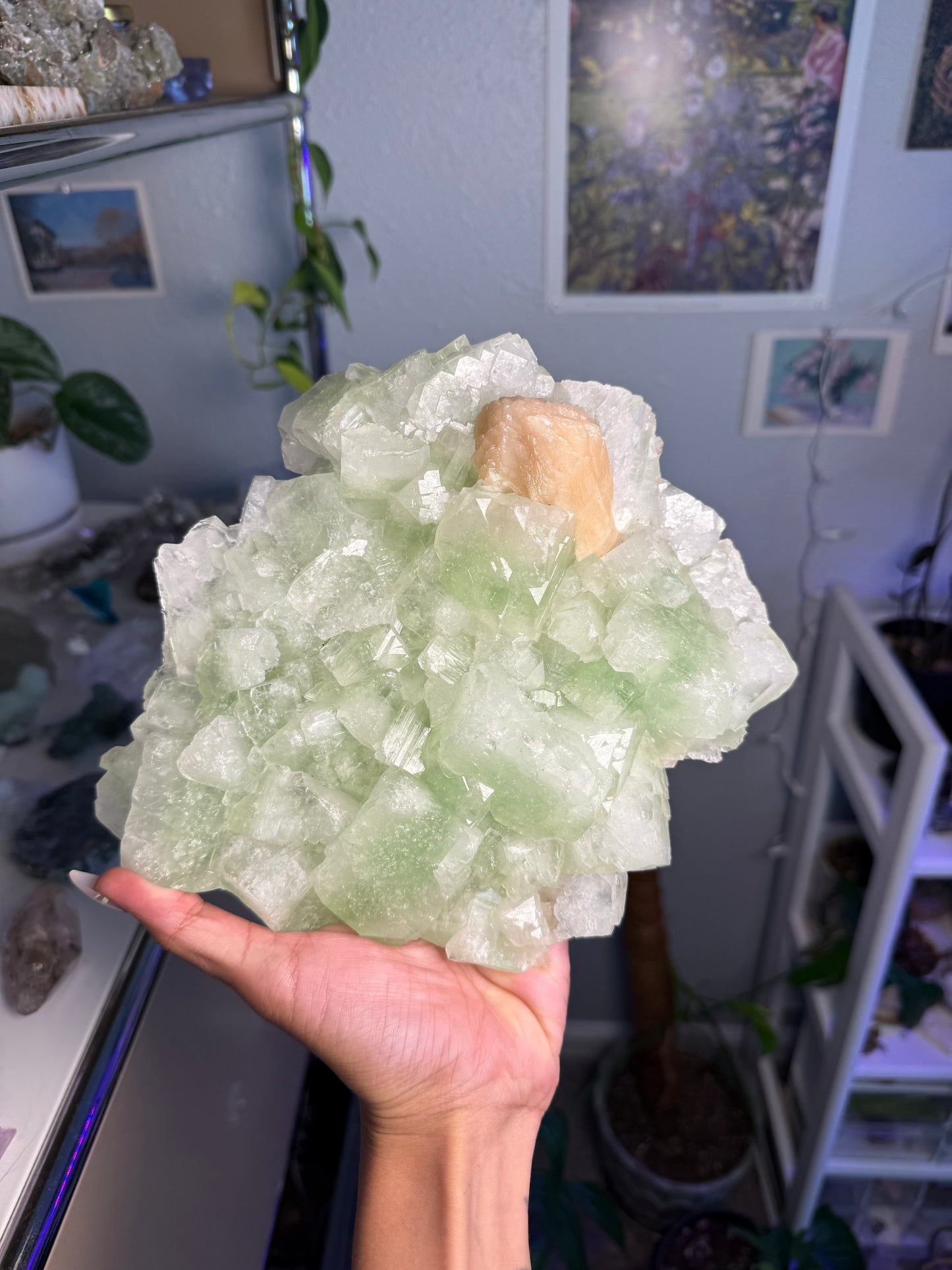 High Quality Green Apophyllite Specimen 444