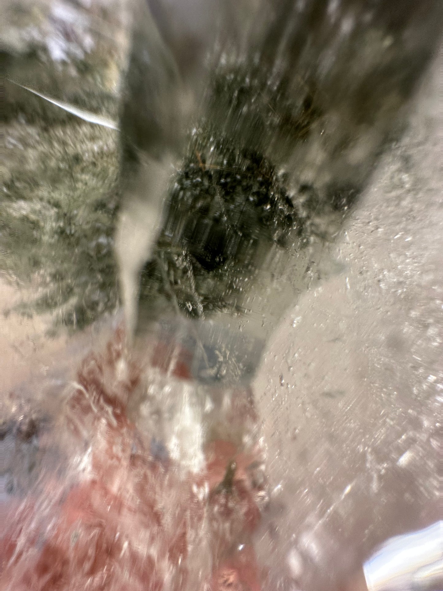 rutilated himalayan quartz with chlorite inclusions 365