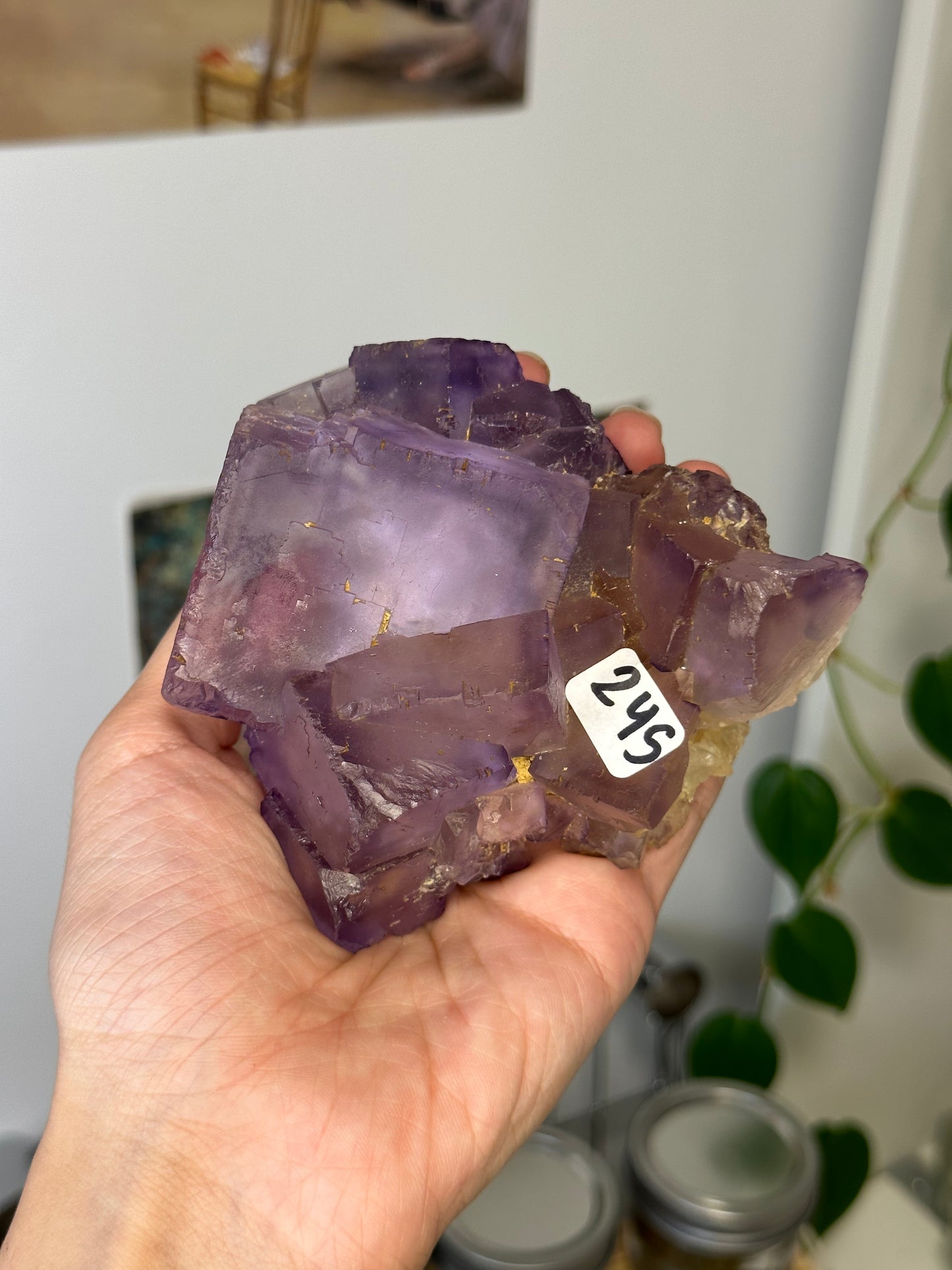 purple fluorite specimen 245