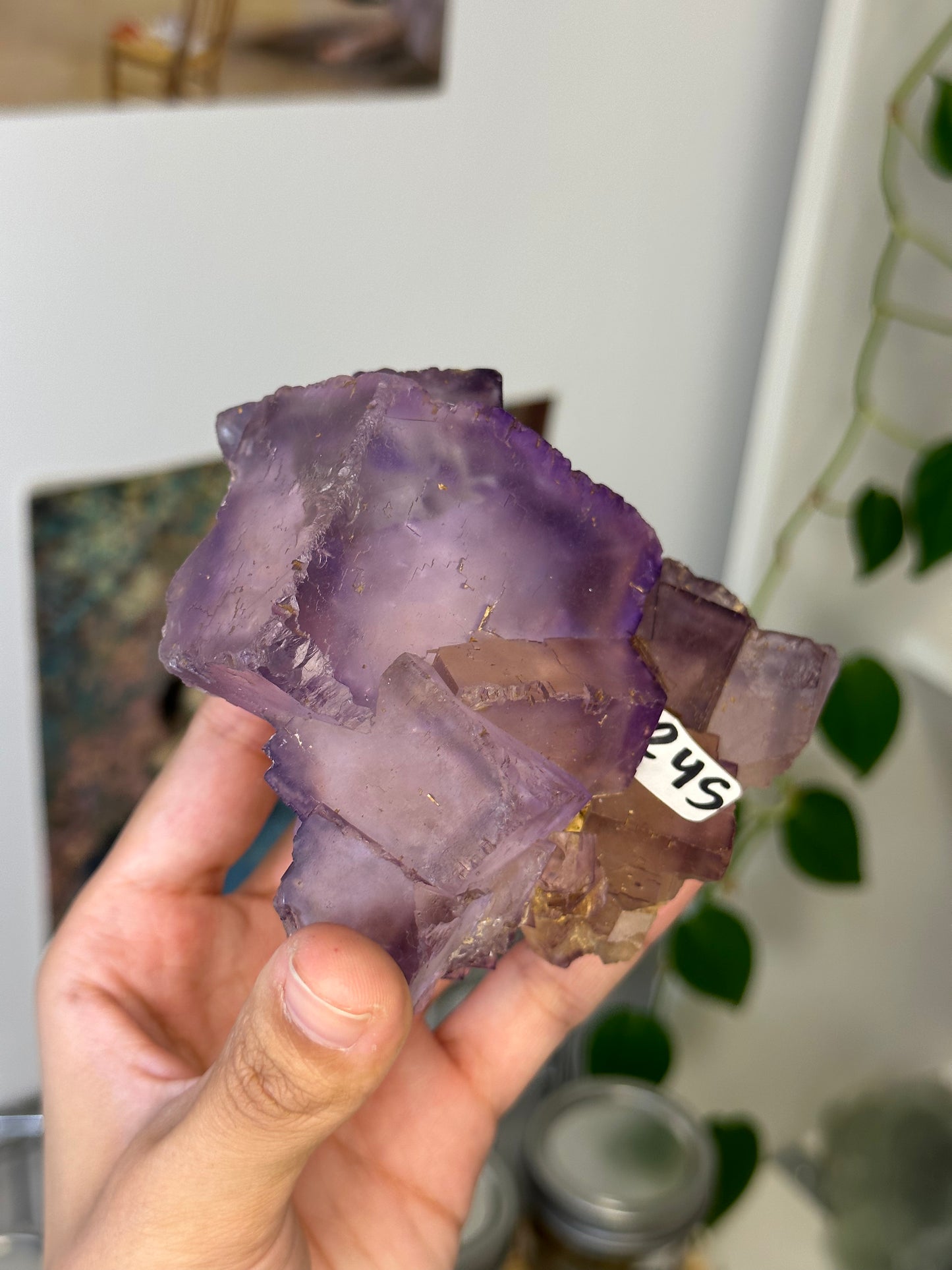 purple fluorite specimen 245