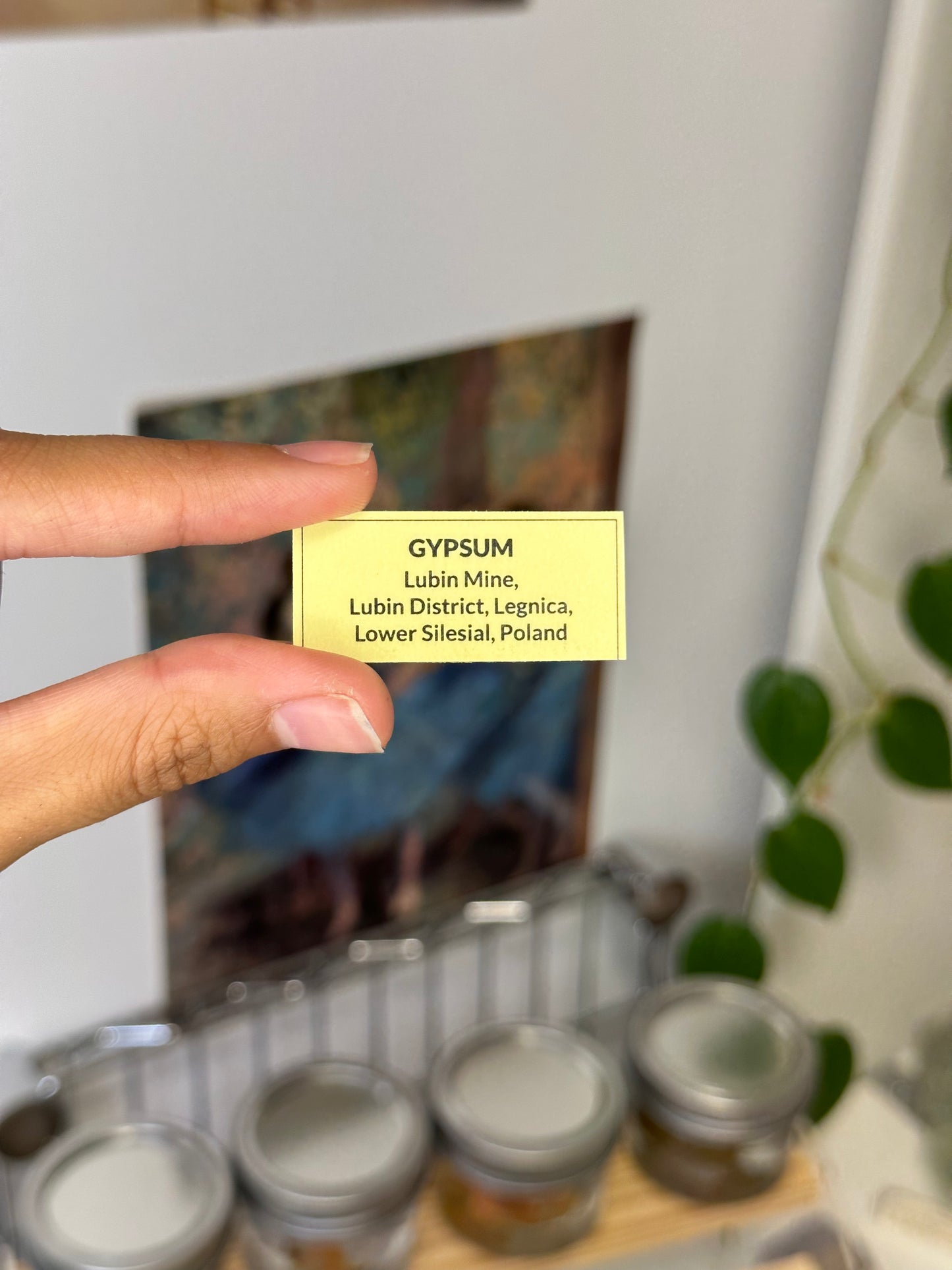 selenite specimen 226