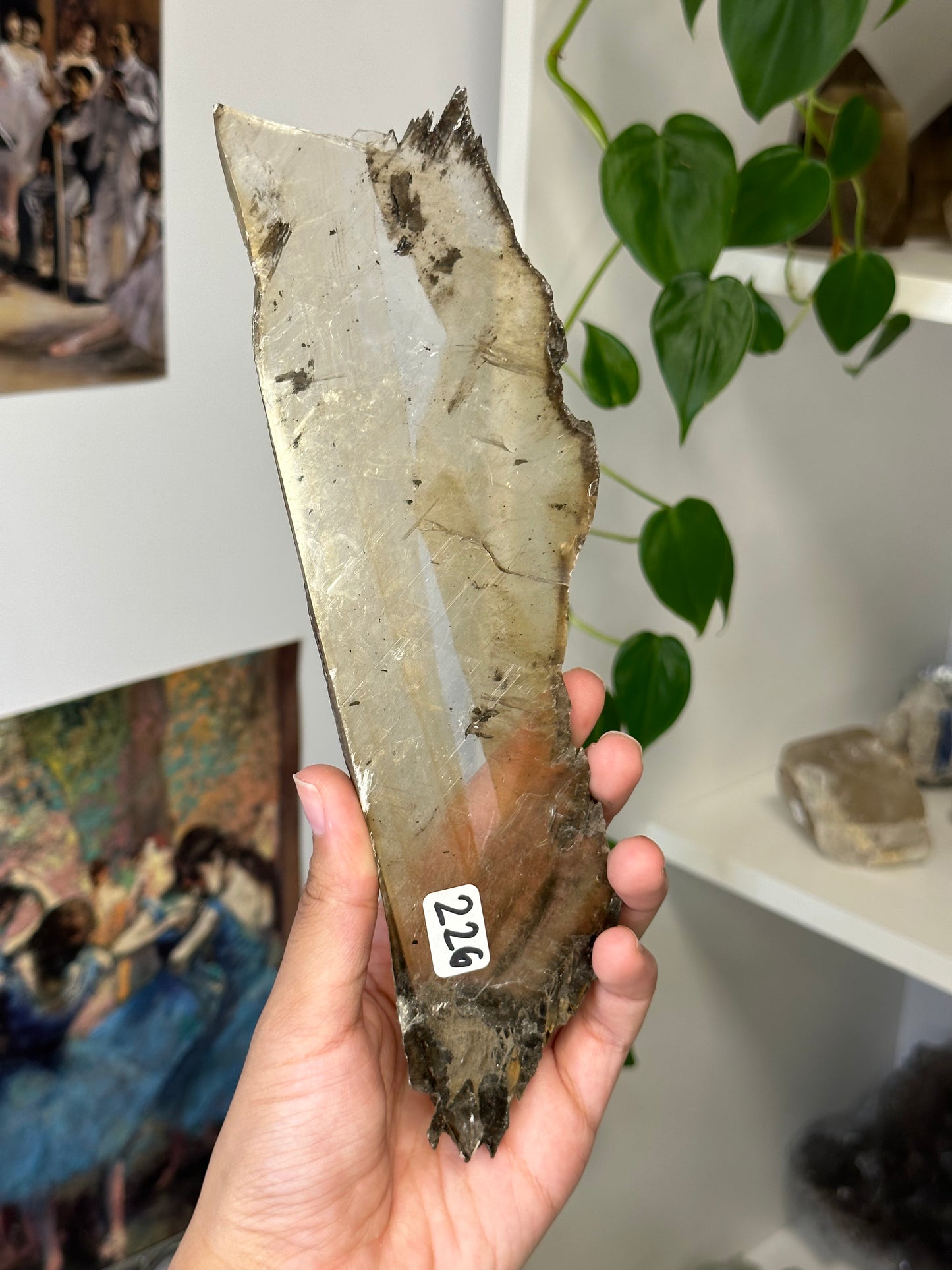 selenite specimen 226