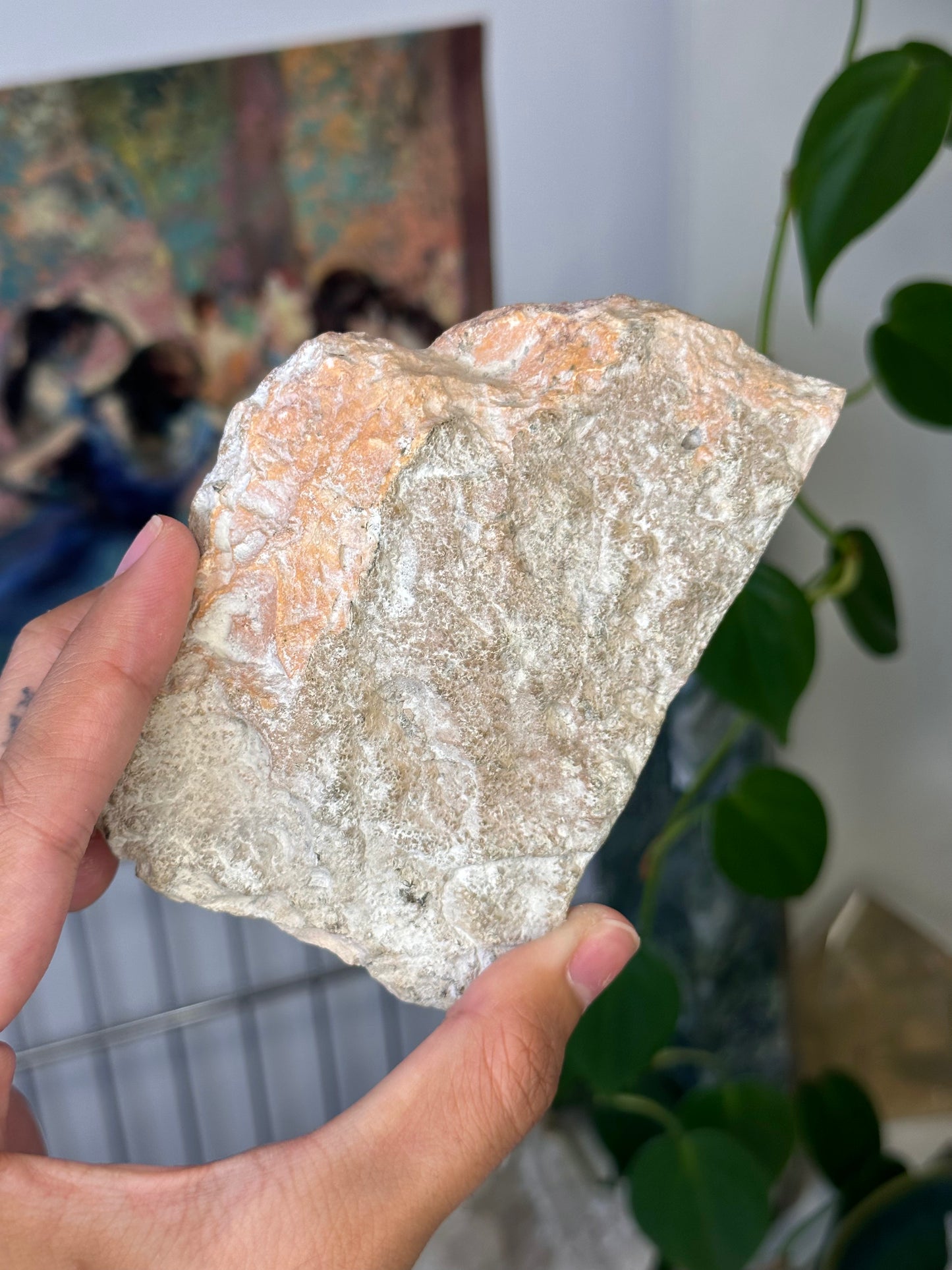 Rhodochrosite Slab 133