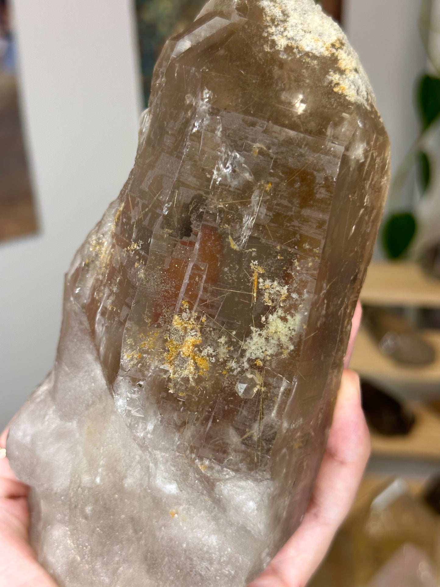 xl smokey garden quartz point with golden rutile inclusions