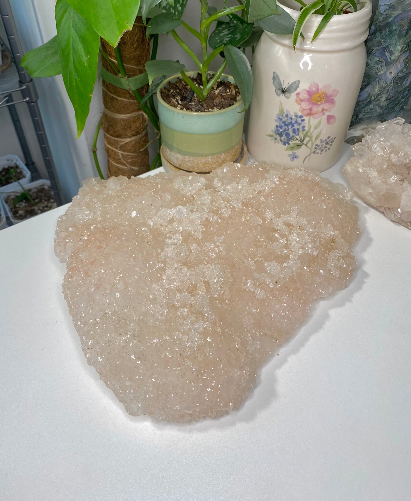 XXL Pink Apophyllite Crust with Stilbite