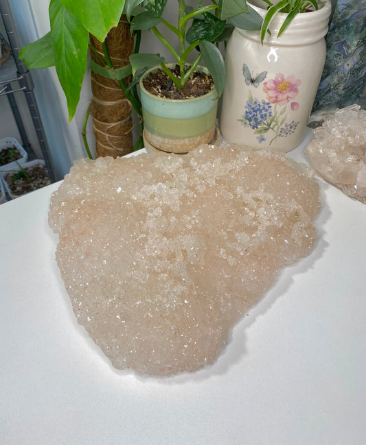 XXL Pink Apophyllite Crust with Stilbite