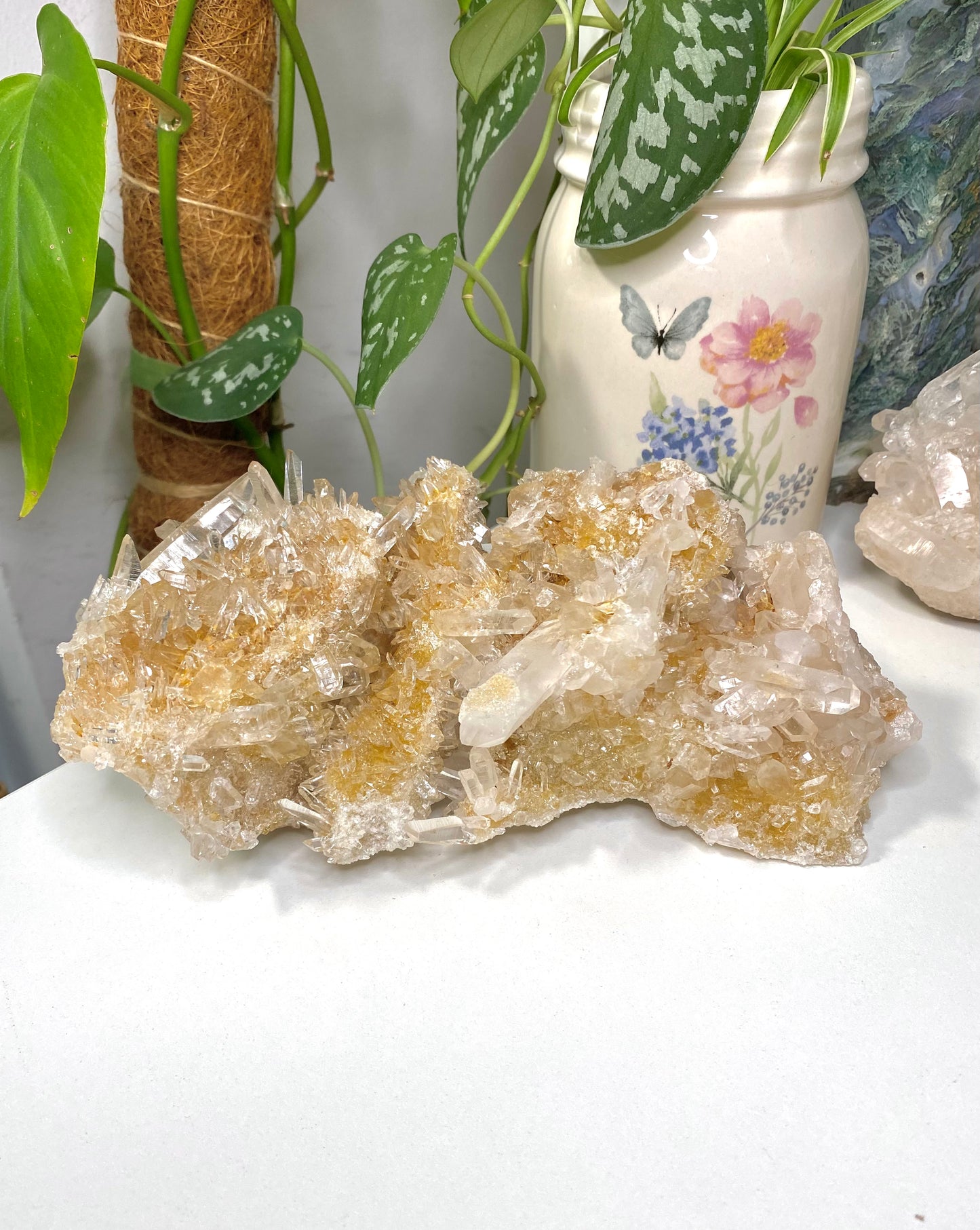XL Golden Nirvana Himalayan Quartz Cluster