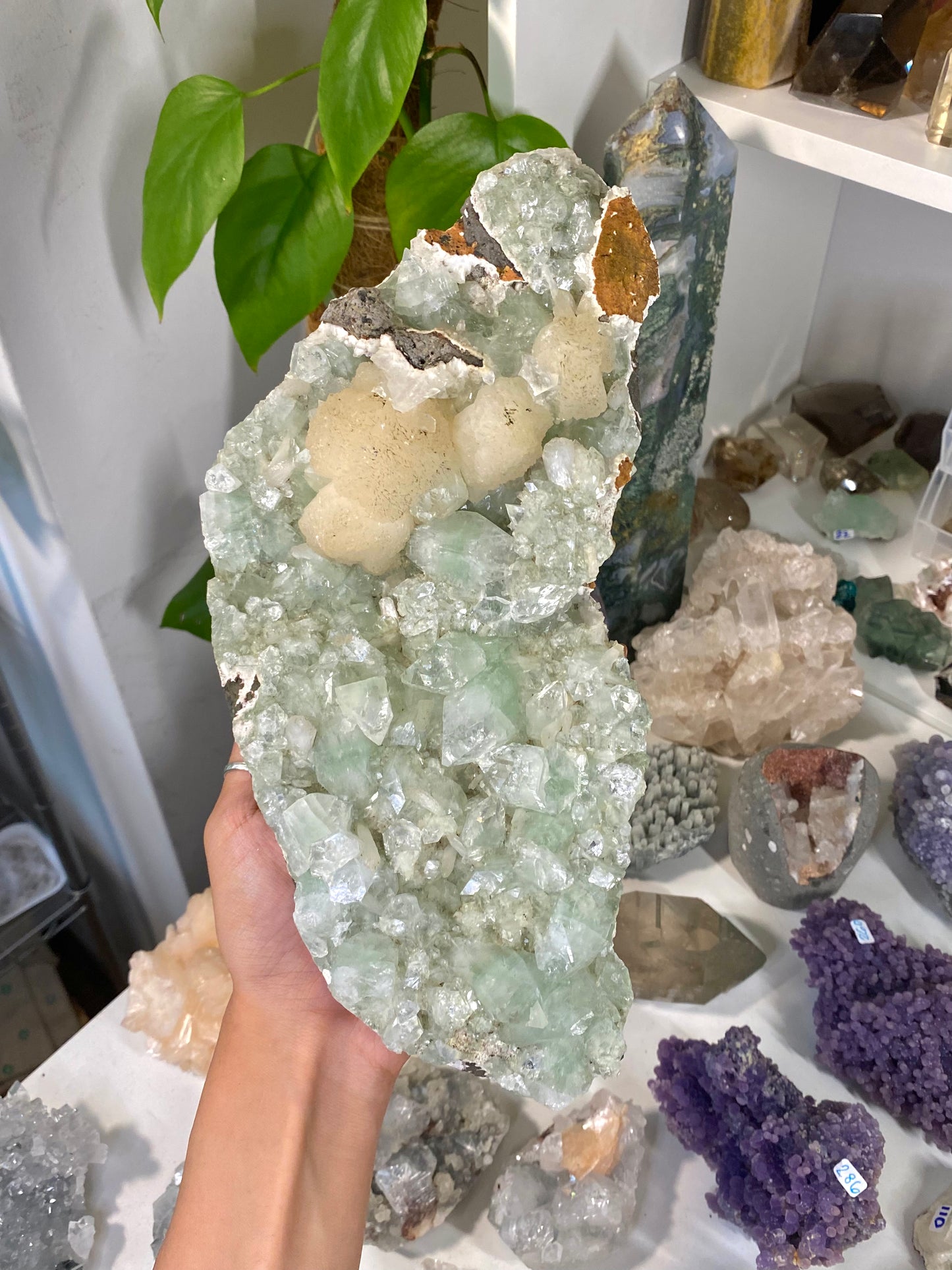 XXL Green Apophyllite Cluster with Stilbite