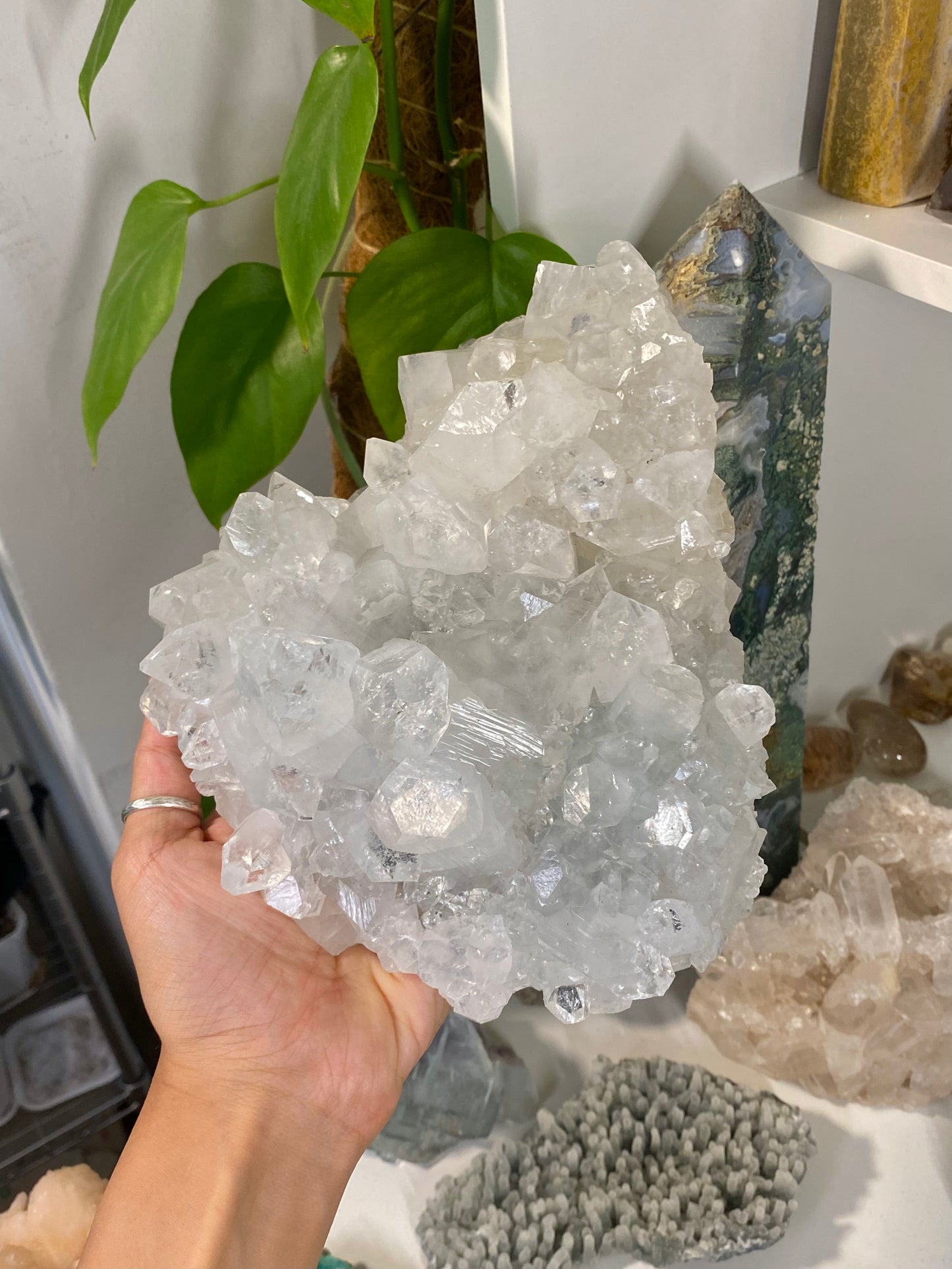 XXL Apophyllite Cluster with Calcite